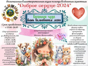 «Доброе сердце - 2024».