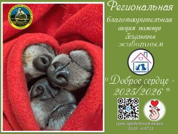 «Доброе сердце» в действии: наши ученики помогли бездомным животным.