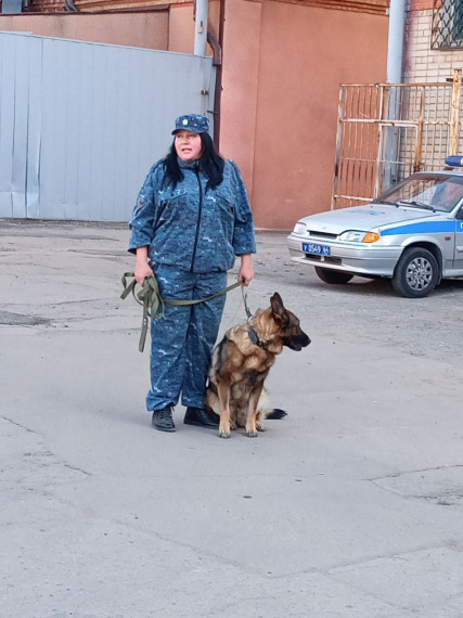 В рамках профориентации старшеклассникам рассказали об условиях поступления в ВУЗы МВД России.