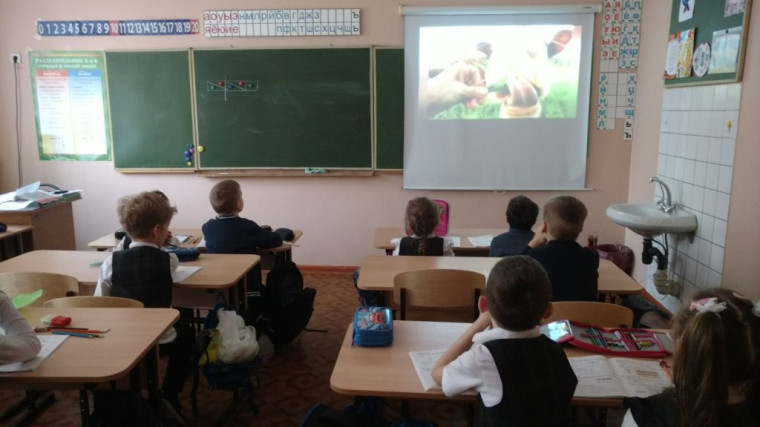 В нашей школе подведены итоги Единой недели профориентации.